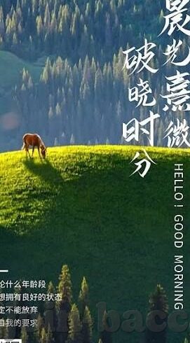 足球直播手机比分直播-足球直播新纪元，手机比分直播，让激情触手可及